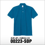 00223-SDP